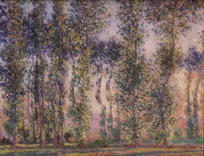 Claude Monet Poplars at Giverny oil painting image